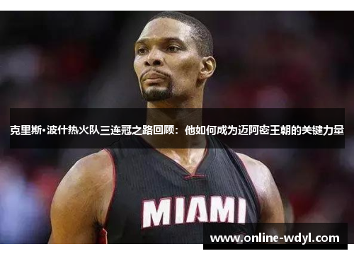 克里斯·波什热火队三连冠之路回顾:他如何成为迈阿密王朝的关键力量 克里斯·波什热火队三连冠之路回顾:他如何成为迈阿密王朝的关键力量