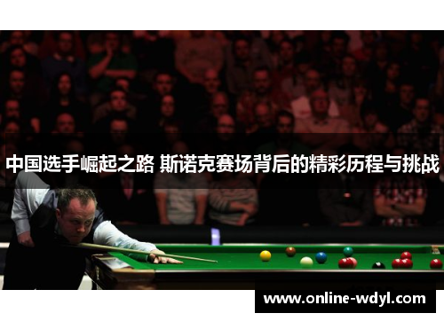 中国选手崛起之路 斯诺克赛场背后的精彩历程与挑战