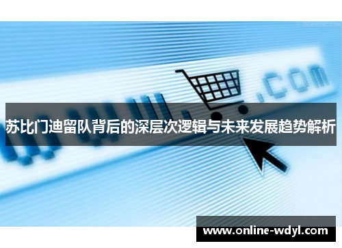 苏比门迪留队背后的深层次逻辑与未来发展趋势解析