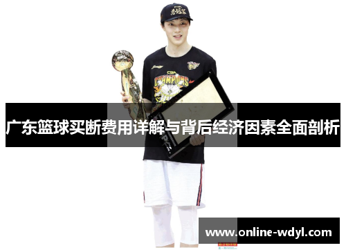 广东篮球买断费用详解与背后经济因素全面剖析 广东篮球买断费用详解与背后经济因素全面剖析