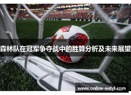 森林队在冠军争夺战中的胜算分析及未来展望 森林队在冠军争夺战中的胜算分析及未来展望