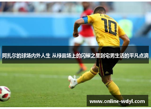 阿扎尔的球场内外人生 从绿茵场上的闪耀之星到宅男生活的平凡点滴