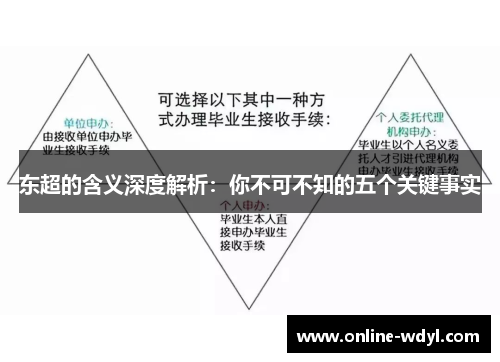 东超的含义深度解析：你不可不知的五个关键事实