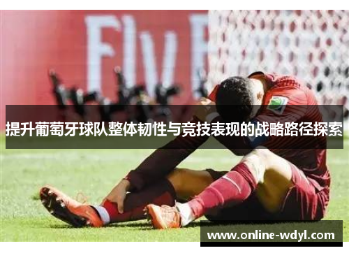 提升葡萄牙球队整体韧性与竞技表现的战略路径探索