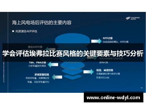 学会评估埃弗拉比赛风格的关键要素与技巧分析