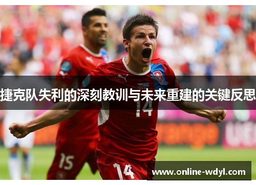 捷克队失利的深刻教训与未来重建的关键反思